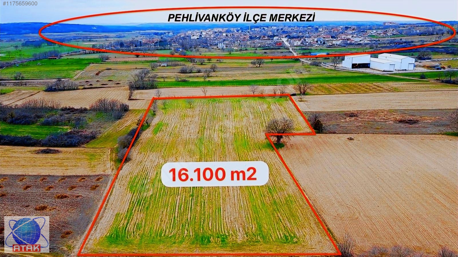 Kırklareli Pehlivanköy 16.200 m2 Tarla